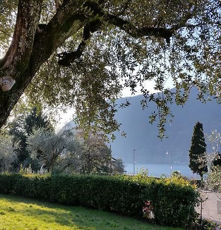 Villa Leilani B&B Sale Marasino Dış mekan fotoğraf