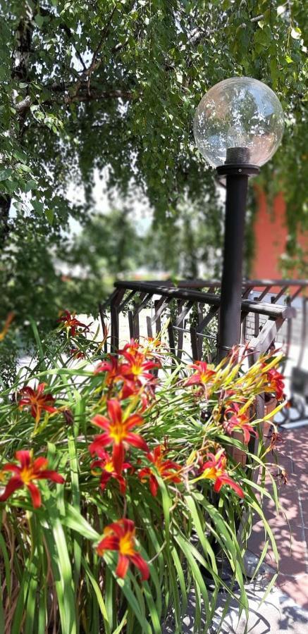 Villa Leilani B&B Sale Marasino Dış mekan fotoğraf