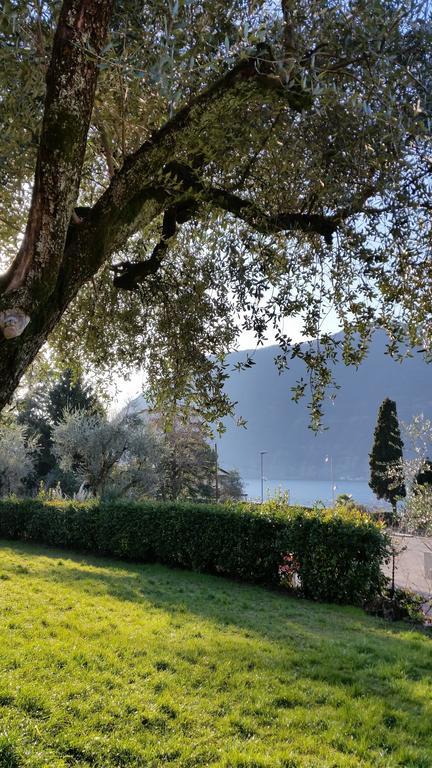Villa Leilani B&B Sale Marasino Dış mekan fotoğraf
