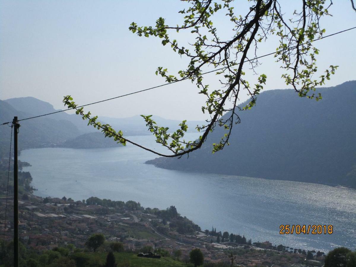 Villa Leilani B&B Sale Marasino Dış mekan fotoğraf